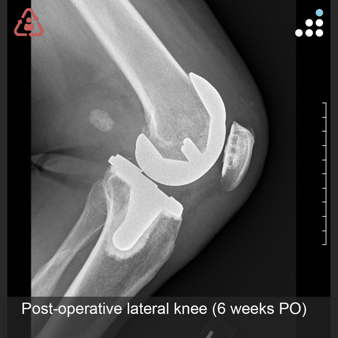 Sah Orthopaedic Associates- Alexander Sah MD