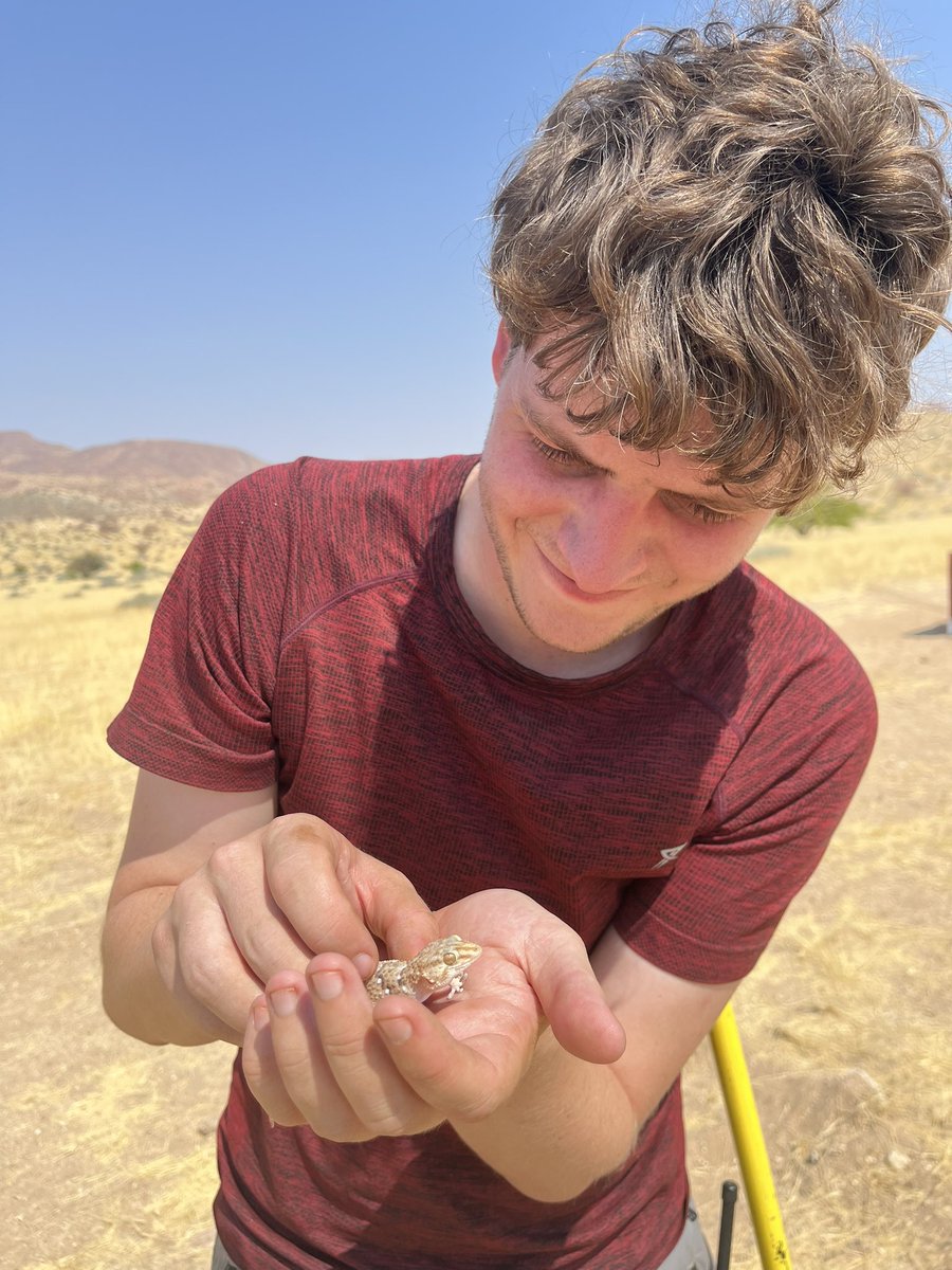 si_monkeys's tweet photo. #IAmABiologist who follows baboons in the Namibian desert with @UCLanthropology @ZSLScience . With touchscreens that reward them with banana flavoured treats for pressing circles, I’m trying to understand how animals learn and how social learning pushes evolution! #SweatyScience https://t.co/MOgGqOLPRC