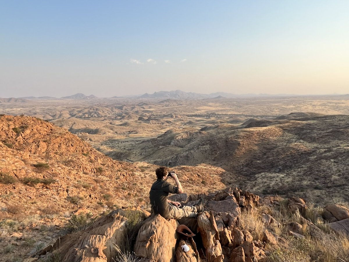 si_monkeys's tweet photo. #IAmABiologist who follows baboons in the Namibian desert with @UCLanthropology @ZSLScience . With touchscreens that reward them with banana flavoured treats for pressing circles, I’m trying to understand how animals learn and how social learning pushes evolution! #SweatyScience https://t.co/MOgGqOLPRC