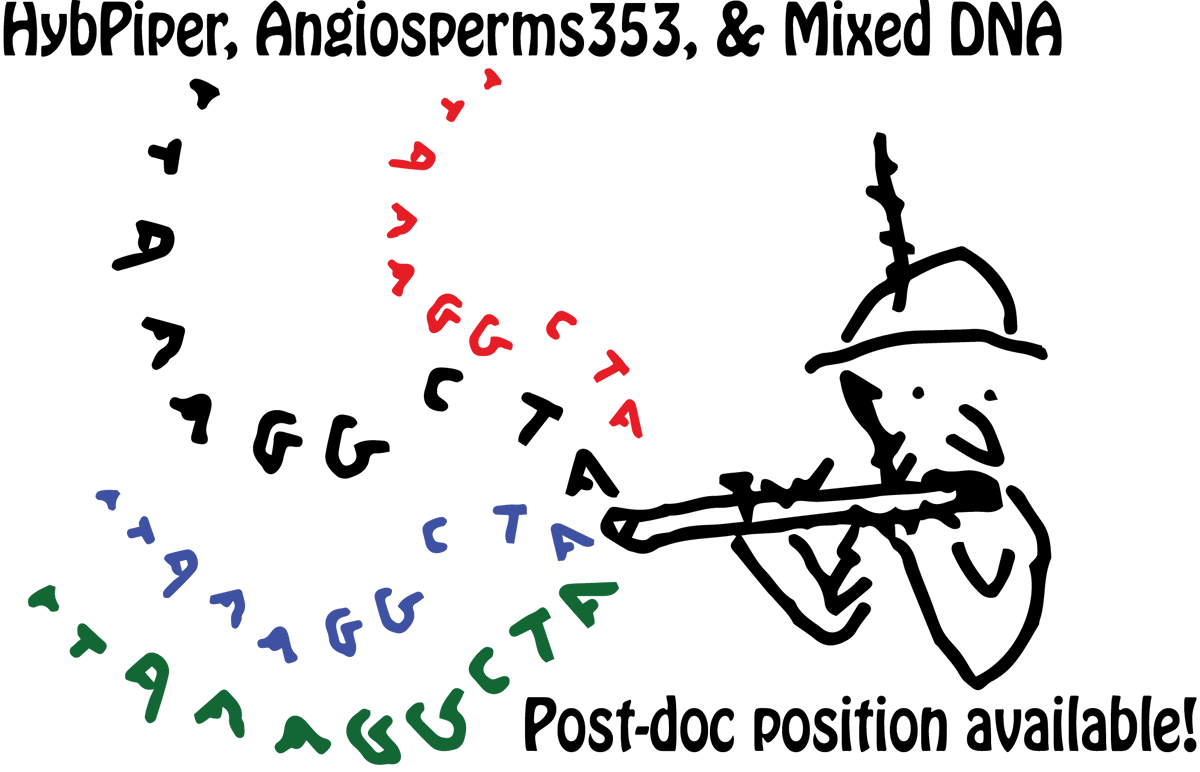 Do you develop methods for DNA sequence analysis? Are you interested in the next evolution of HybPiper for Mixed DNA? Do you have a PhD in bio or compsci? 🧬We are hiring a post-doc!🧬 Info about our new FDA-funded project & how to apply at: mossmatters.com/blog/research/… Please RT!