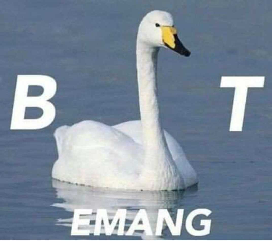 haechanmantul's tweet photo. Goajdjshshejdnsnnsnsjsanjinggnehejekjehejejeke https://t.co/qX5mw0bNip