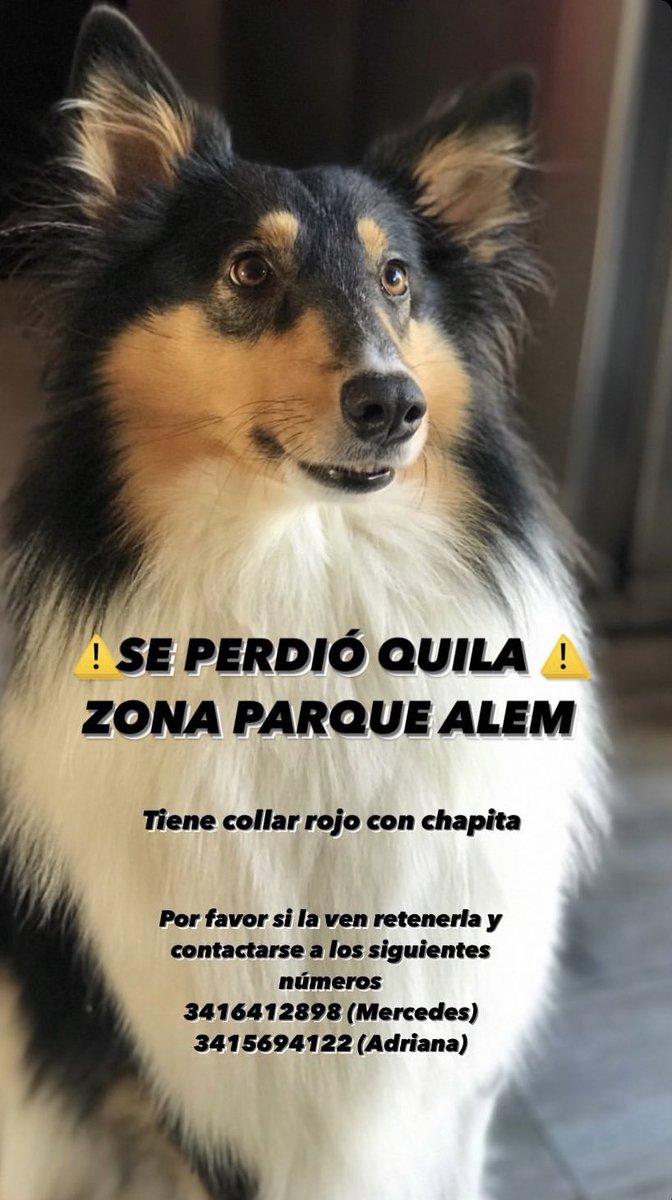 TomasBlanch3's tweet photo. Rt por favor! https://t.co/275MLM7QiU