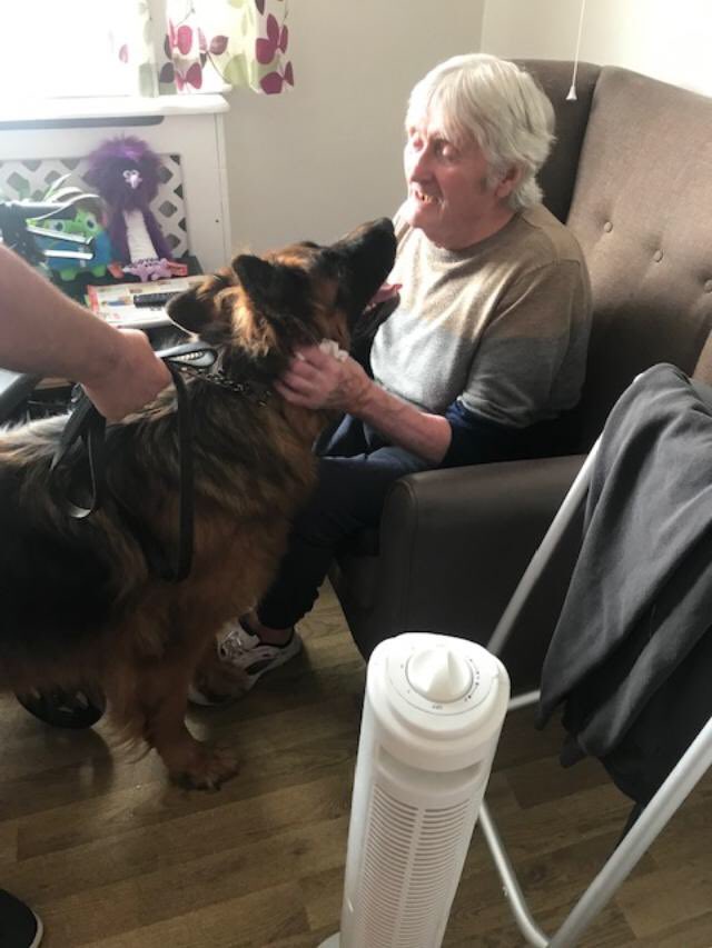 RayBates57's tweet photo. If you want a kiss you’ll get a kiss!
I’ve got the best job in the world. 💪 #Dementia #Tryingtomakeadifference #Therapydogs #Germanshepherds https://t.co/rcFIaVlk0c