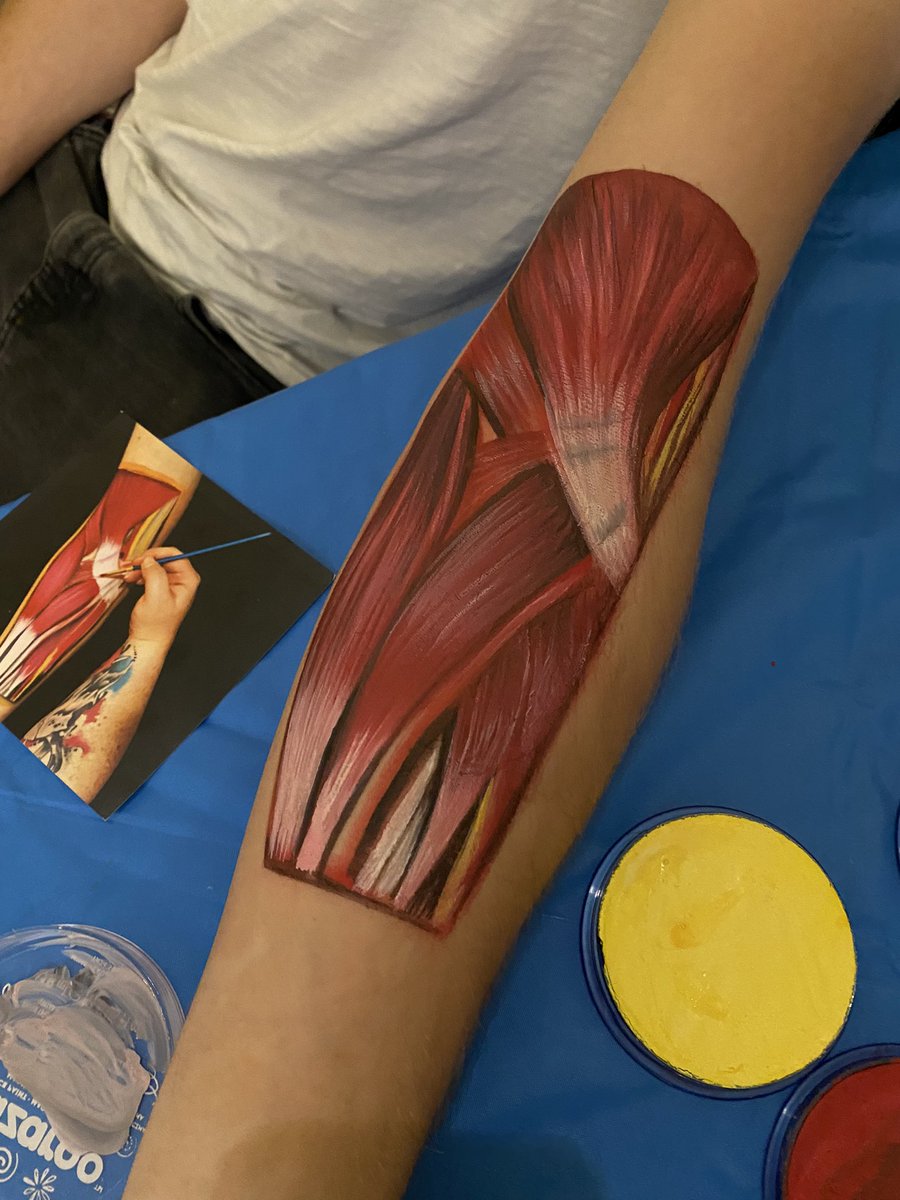 Anatomy Fundamentals tweet media