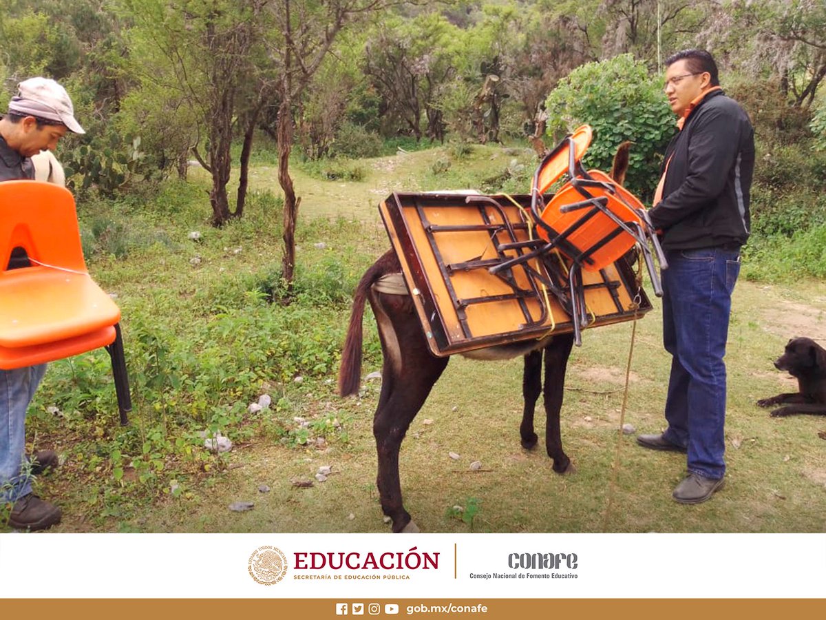 CONAFE_mx's tweet photo. ¡En el Consejo nadie se queda atrás, nadie afuera!

El @conafenl es un ejemplo. En Zaragoza trasladamos mobiliario indispensable para que niñas, niños y adolescentes puedan #estudiar en un ambiente adecuado. #CONAFE https://t.co/JZRnY4r3kQ