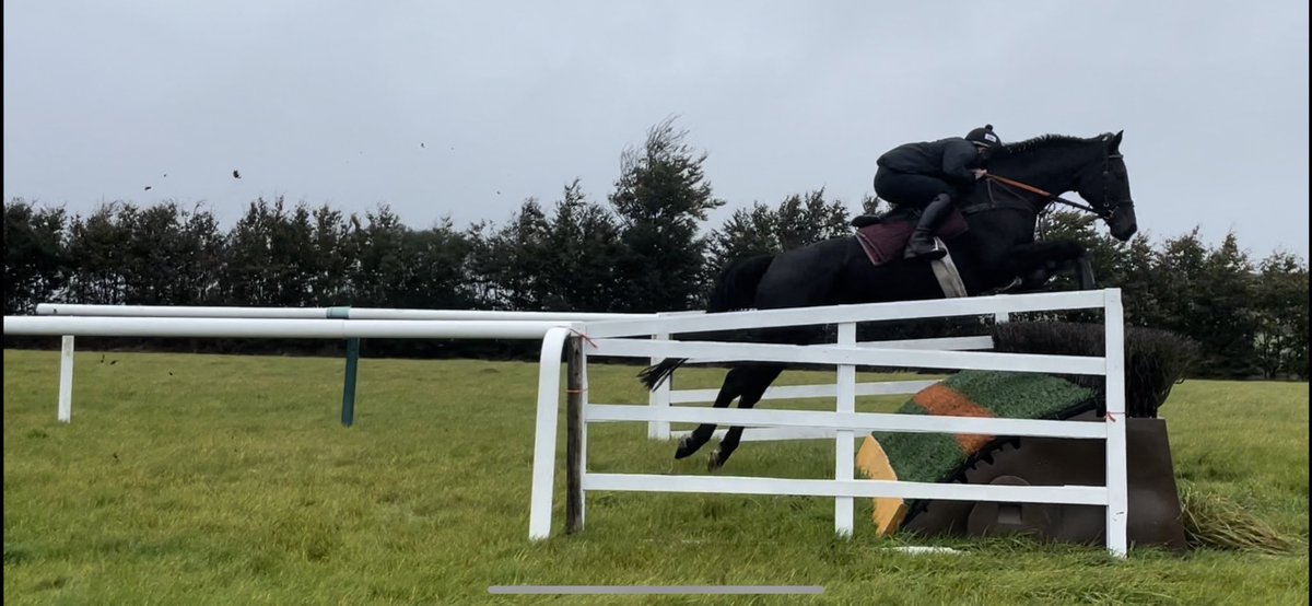 dmcalinden84's tweet photo. @BeardedJockey @HardyShorses Even had a go on the grass this week 🤞🏻🤞🏻 https://t.co/S6vk0ICFYO