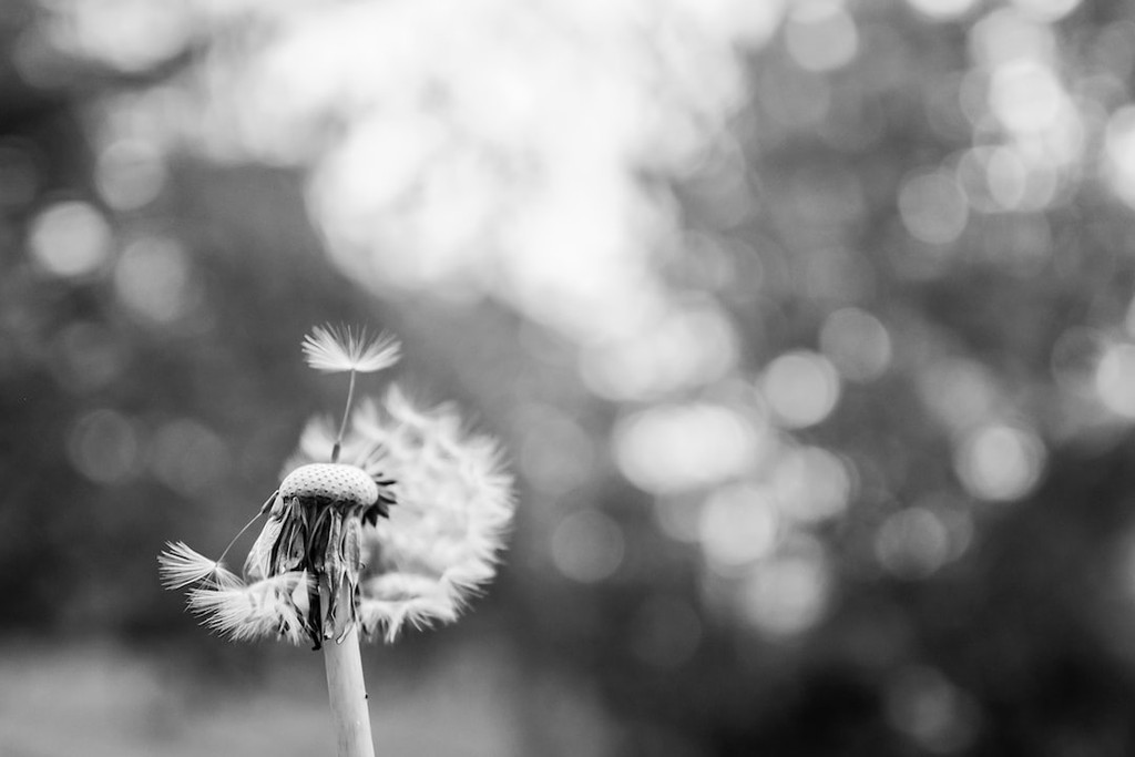 HEY -- what do you think about AGING? 

Add your two cents in the comments area, and be sure to return to read what others had to say!  Thanks!
missinglettr.com/site/retiremen…
retirement-online.com/aging-what-do-…