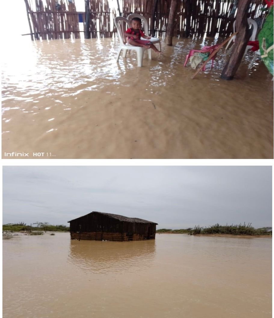 SenadorTrujillo's tweet photo. Pido al Gobierno Nacional en cabeza del presidente @petrogustavo acompañar de manera integral la emergencia generada por las fuertes lluvias en el municipio de @uribia_guajira en la Alta Guajira, donde 20 mil familias se encuentran damnificadas por los efectos de la onda tropical https://t.co/cgRrtoHY4G