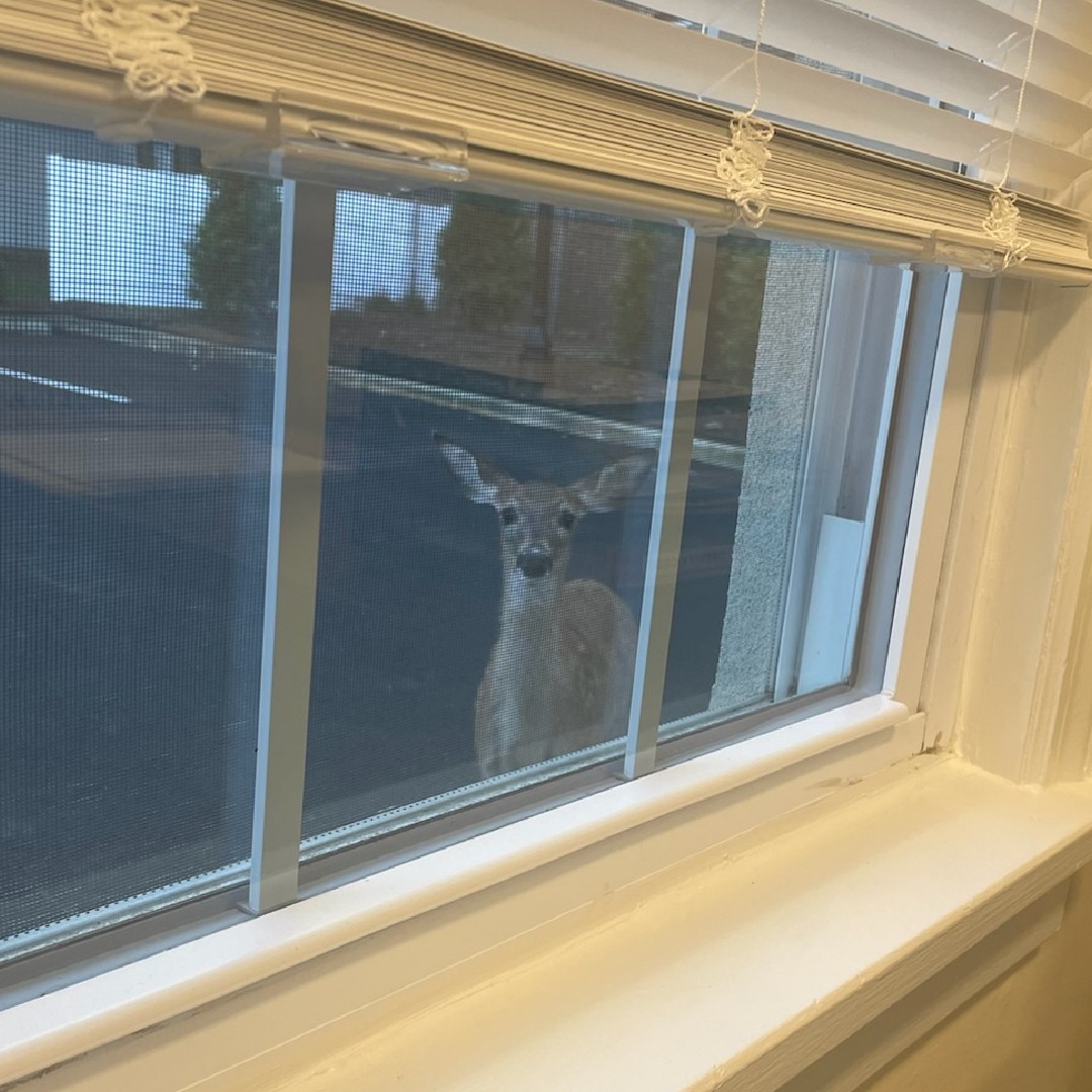 EHMC Foundation tweet media