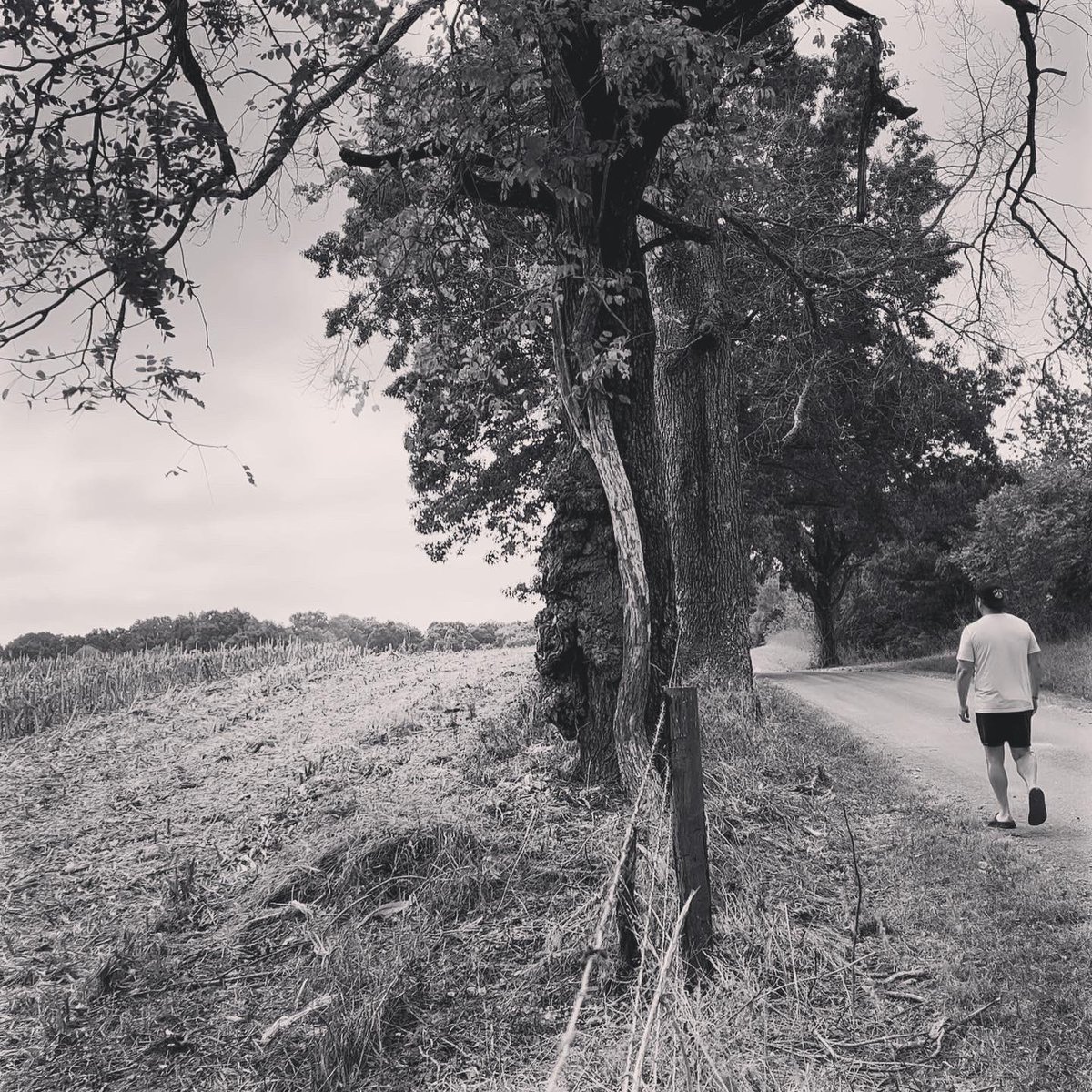 “lorrrrd, I’m down in the gulley….where the creek gets high…”
🏃🏻🪵🍁🍃🦫🐍

🎶 <a href="/Brent_Cobb/">Brent Cobb</a> #downinthegulley

#seenonmyrun #trailrunning #runky #downinthegulley #kentucky #runtrail #bushwhack #leavenotrace #yetirunners #hillbillyviking