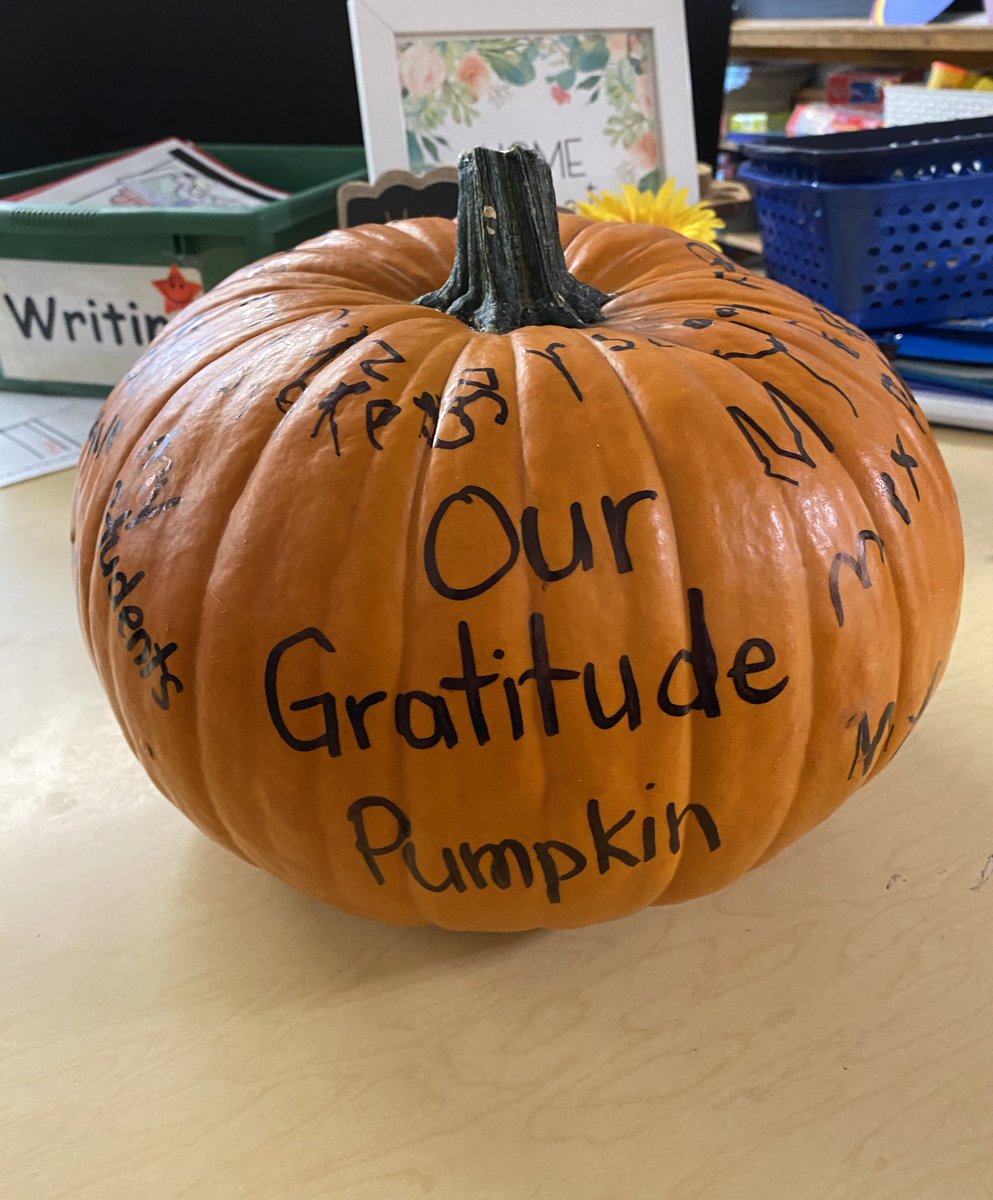 MissTFilice's tweet photo. Our gratitude pumpkin 🧡 #fuzzyblankets #bunkbeds #family #friends #food @avenue_lake @HWDSB https://t.co/tUHVBRnfRb