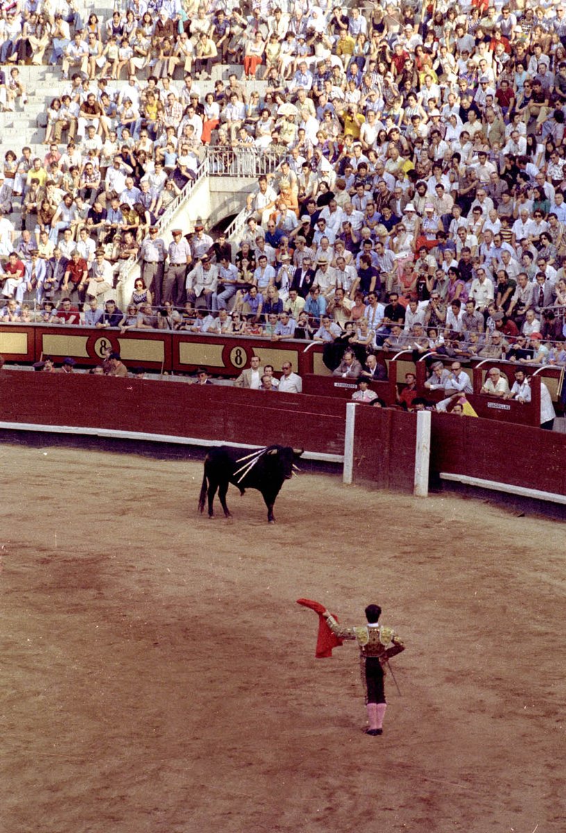 Compartido desde la aplicación Fotos