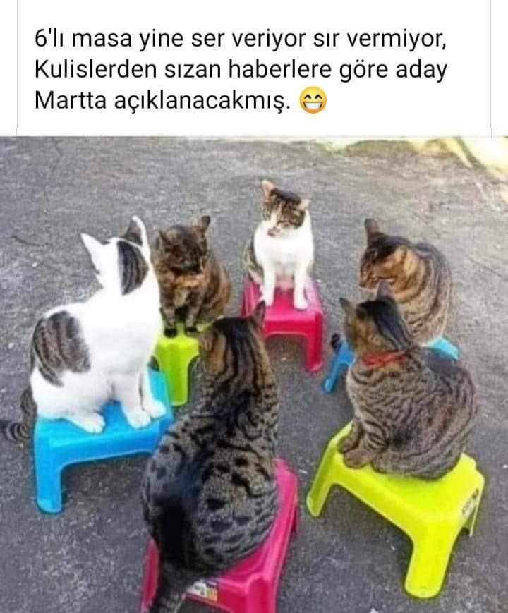 TCsevda3's tweet photo. Bekliyoruz bakalım https://t.co/QG7a3JVEzJ