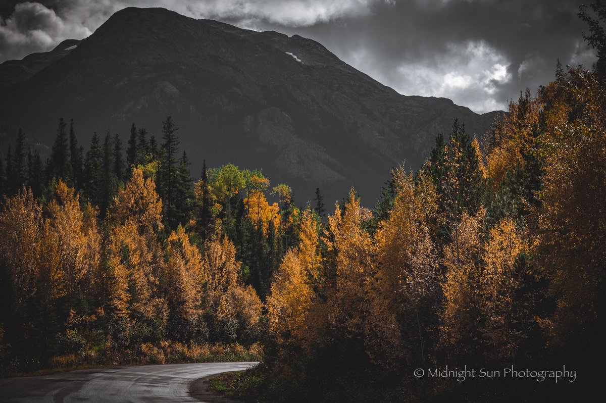 Prairie_Yukoner's tweet photo. Always take the road less travelled. The most rewarding experiences lie just around the next corner. #livelifetothefullest #fallcolors2022 https://t.co/7QuqKWeLe2