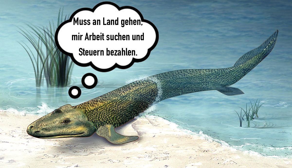 sullenlook's tweet photo. War ne dumme Idee... https://t.co/c2HtEvHcnM