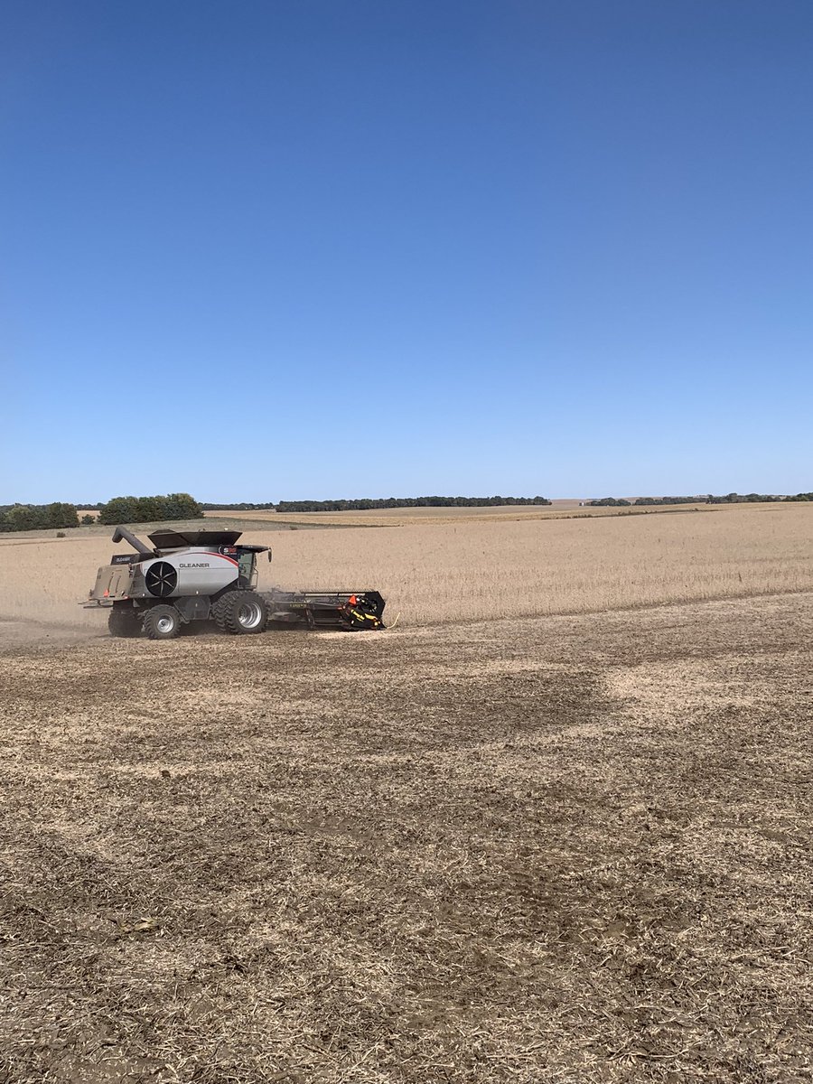 TimmermanTucker's tweet photo. Knocking the beans out #gleaner #honeybee #draperhead https://t.co/TzmHfAOhhm