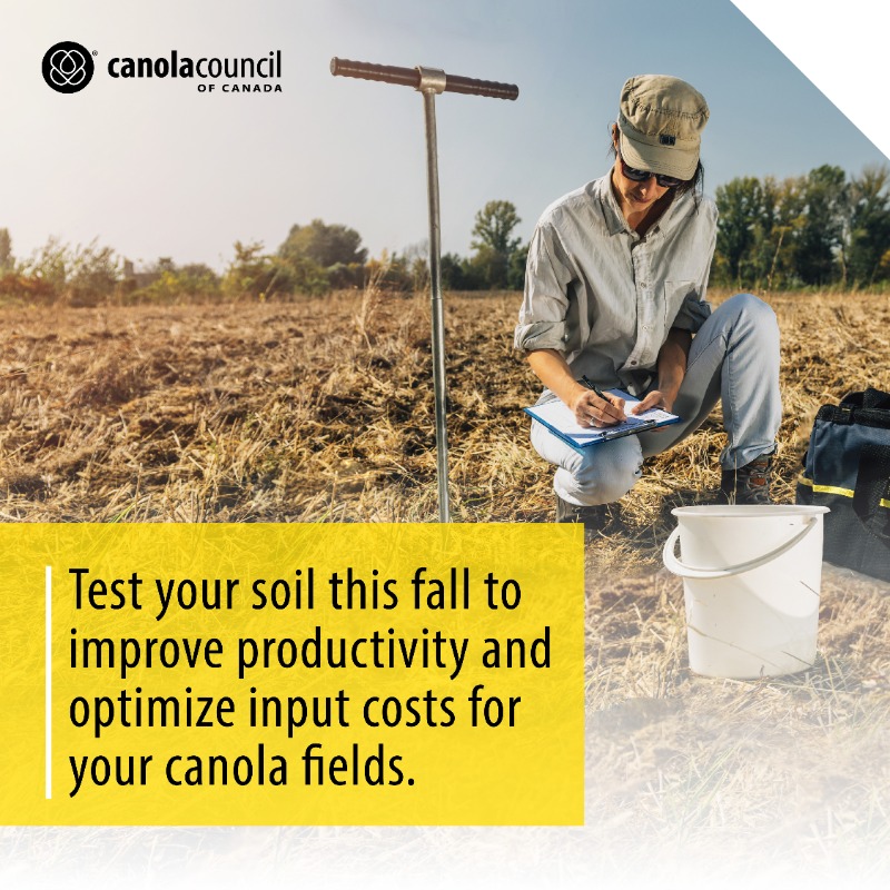 canolacouncil's tweet photo. Nutrient content in soil varies over years, between fields and there is even variability within fields that appear uniform. Soil testing will help you understand your nutrient reserves, so you can optimize your input budget and plan for the Right rate of #4RNutrientStewardship.