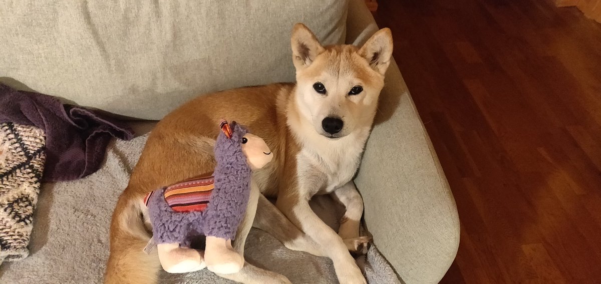 JunaDota's tweet photo. Friendship started with Serge https://t.co/W0AmQIjm6B