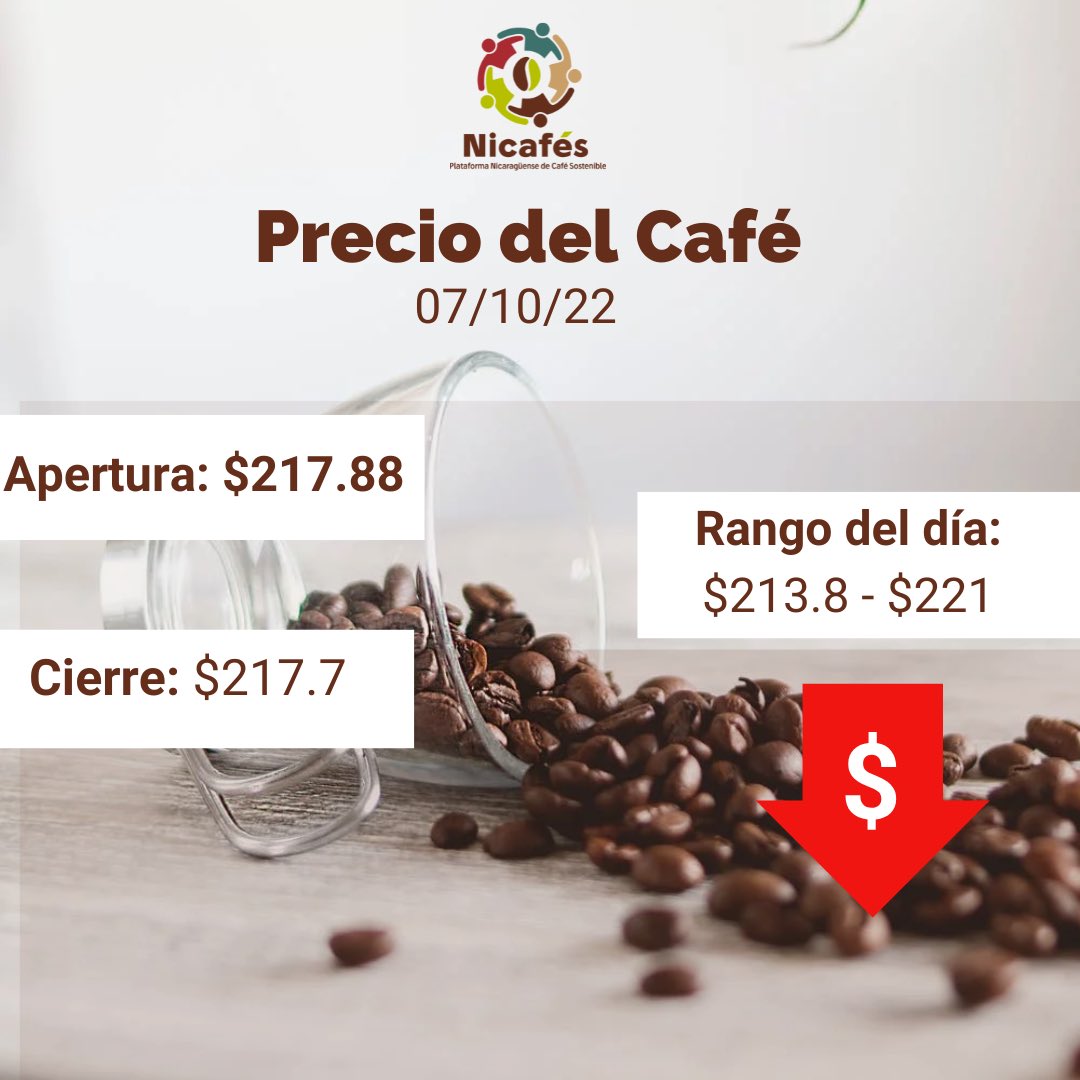 Plataforma Nicaragüense de Café Sostenible tweet media