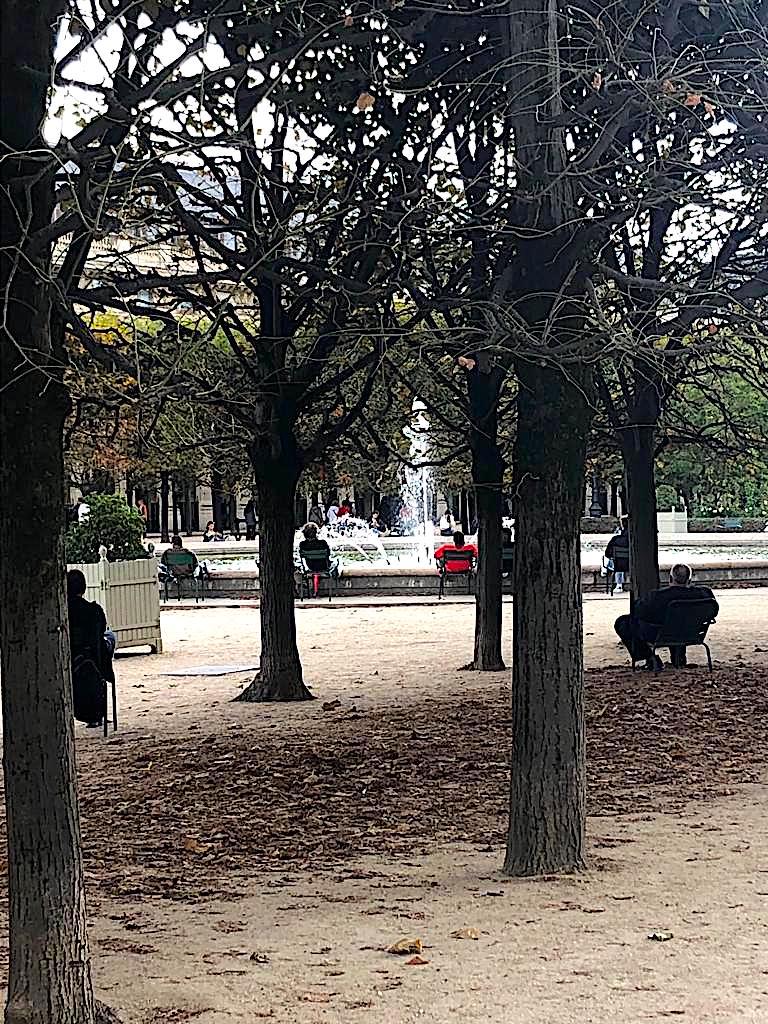 focusonparis's tweet photo. Fountain Friday: October in the #gardens of the #PalaisRoyal. #fountainsofparis #gardensofparis #parisparks #photography https://t.co/fVjudwdMiJ https://t.co/yArnROSdWT