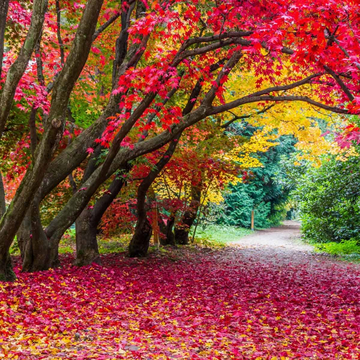 Sara09732501's tweet photo. Having someone reliable in all difficult situations is a gift!

#لبیک_یا_خامنه_ای
#nature https://t.co/UnSQ2uhxUs