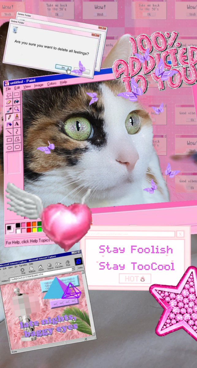 <a href="/toocoolXcat/">TooCool Dolander ✨</a> Just woke up from a nap, enjoying her favorite show BIRD LIVESTREAM😂

 #toocoolfriday