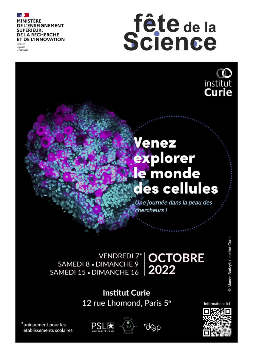 LabexCnS's tweet photo. Comment on peut faire pousser des mini cerveaux dans une boite de Petri ? Les chercheurs de l'équipe d'@Alex_Baffet à l’@institut_curie vous racontent tout! 🧫 

Plus d’infos sur le programme 👉🏼 https://t.co/ZXFOITvcO3 https://t.co/DbKF8Px9Tg