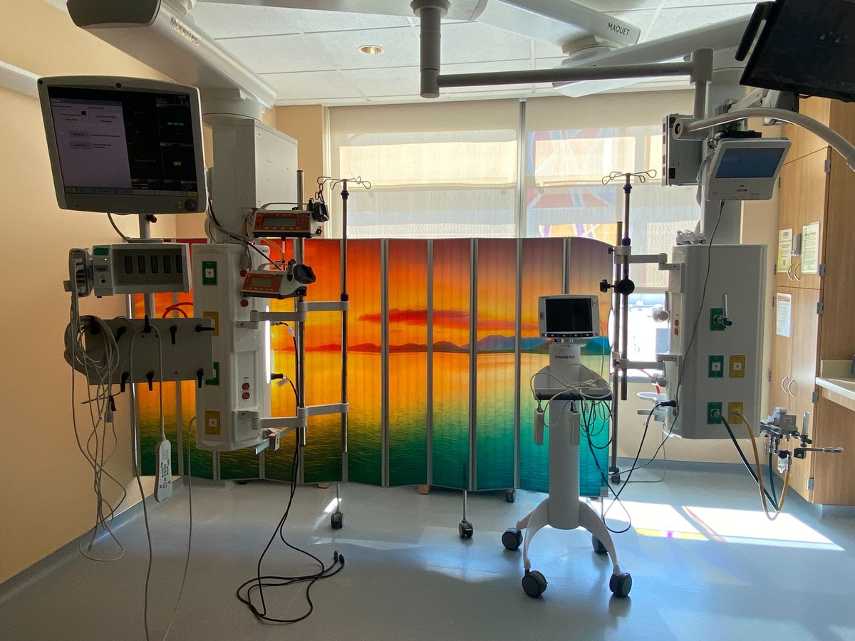 SilentiaI's tweet photo. Could your patients use a little joy and a moment of relief? Studies show, peaceful imagery has a positive effect on patient recovery. This NorCal CVICU offers patients a calmer, more comfortable atmosphere.

#patientcare #patientprivacy #silentiascreen #photopanels #keepitclean https://t.co/OTNvCjFdnm