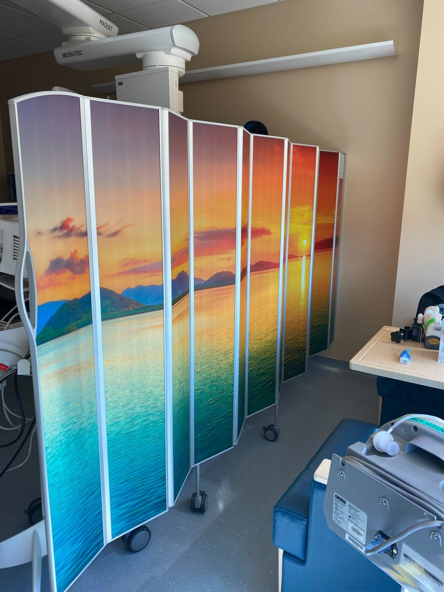 SilentiaI's tweet photo. Could your patients use a little joy and a moment of relief? Studies show, peaceful imagery has a positive effect on patient recovery. This NorCal CVICU offers patients a calmer, more comfortable atmosphere.

#patientcare #patientprivacy #silentiascreen #photopanels #keepitclean https://t.co/OTNvCjFdnm