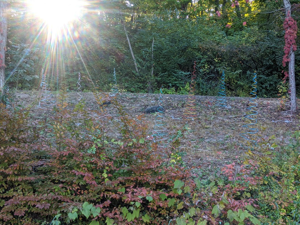 UNCBLUGRL tweet media