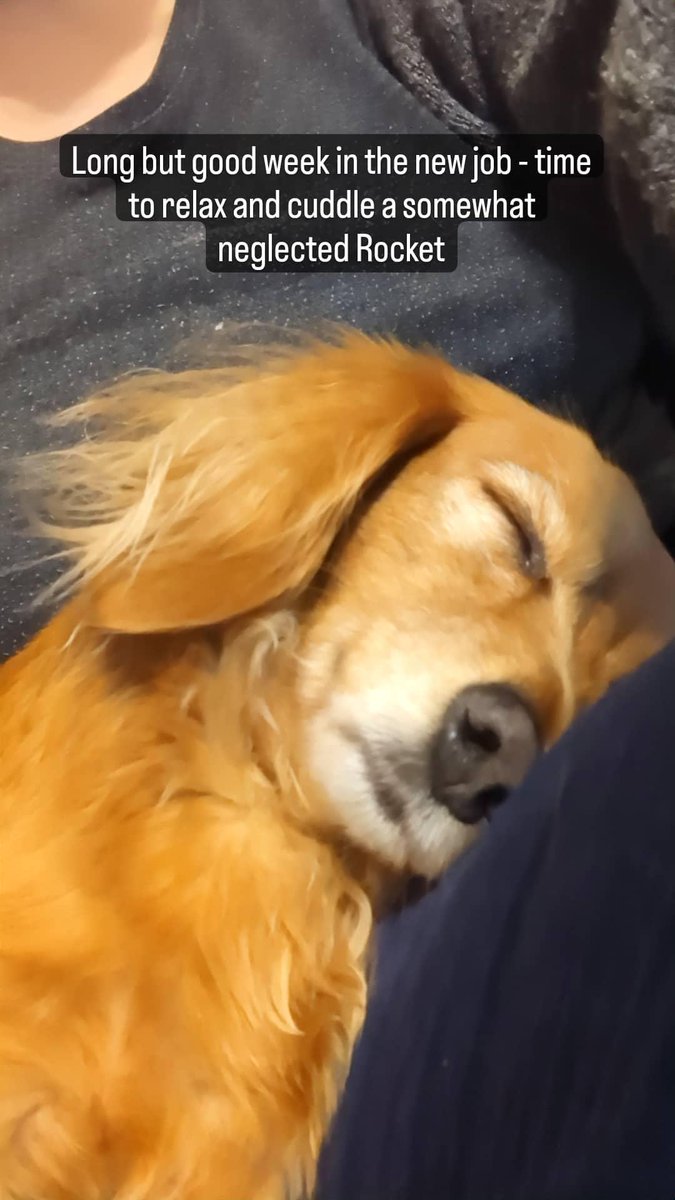 FoxyKaira's tweet photo. First week done, time to relax for a bit 🥰 https://t.co/BI3gY4ZQfO