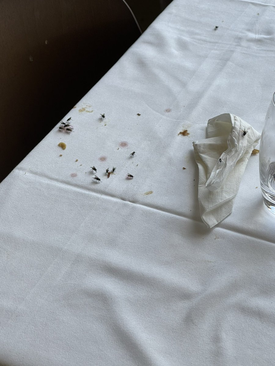 teddypugs's tweet photo. @TUIUK  @RiuHoteles Any chance of a response to my complaint? Stayed at the Riu Palace Santa Maria. You’ve already offered me £325 in vouchers or £168 in refund! However, now no reply! Absolutely shocking! https://t.co/MnJWT9EdDx