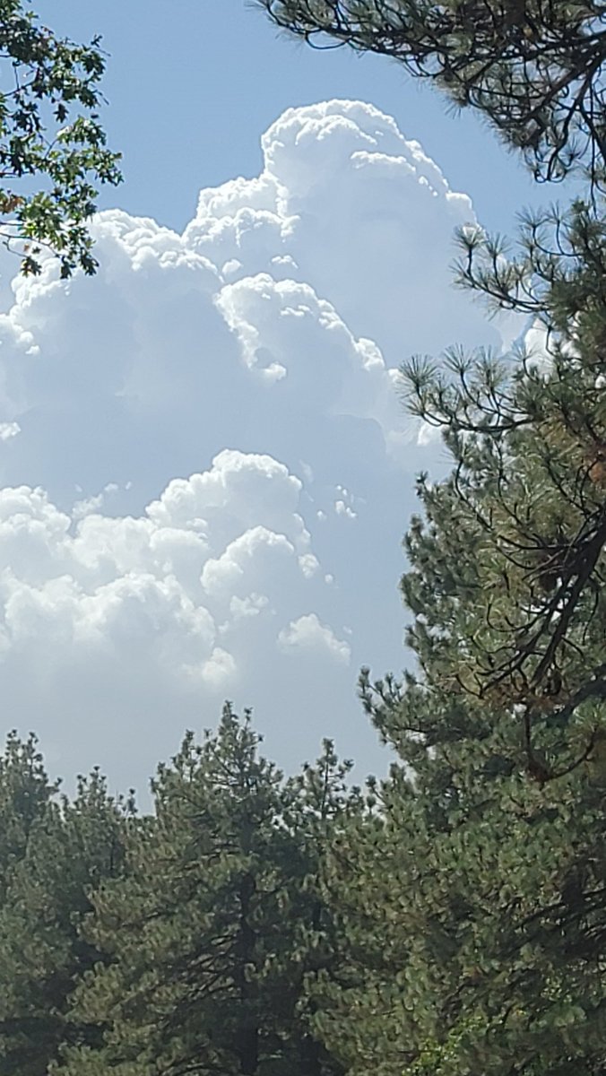 Tfireprivate's tweet photo. Boom! #PreventionHash #WildfireStandByFireStandBy #FireSeason22 #MountLaguna https://t.co/VBXl4Kr9Wz