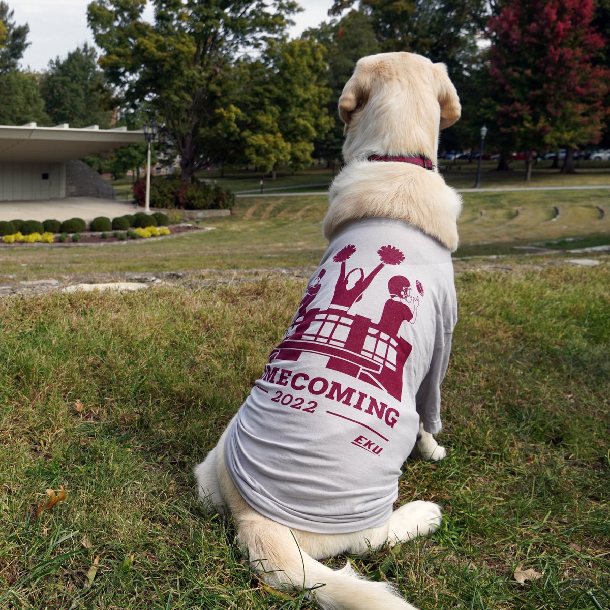EKUalums's tweet photo. Flyer wants everyone to know that he's super excited for @EKU Homecoming 2022! He couldn't quite reach Daniel Boone's toe but he thinks he's lucky enough already. #homEKUming https://t.co/vVvLTw5x5e