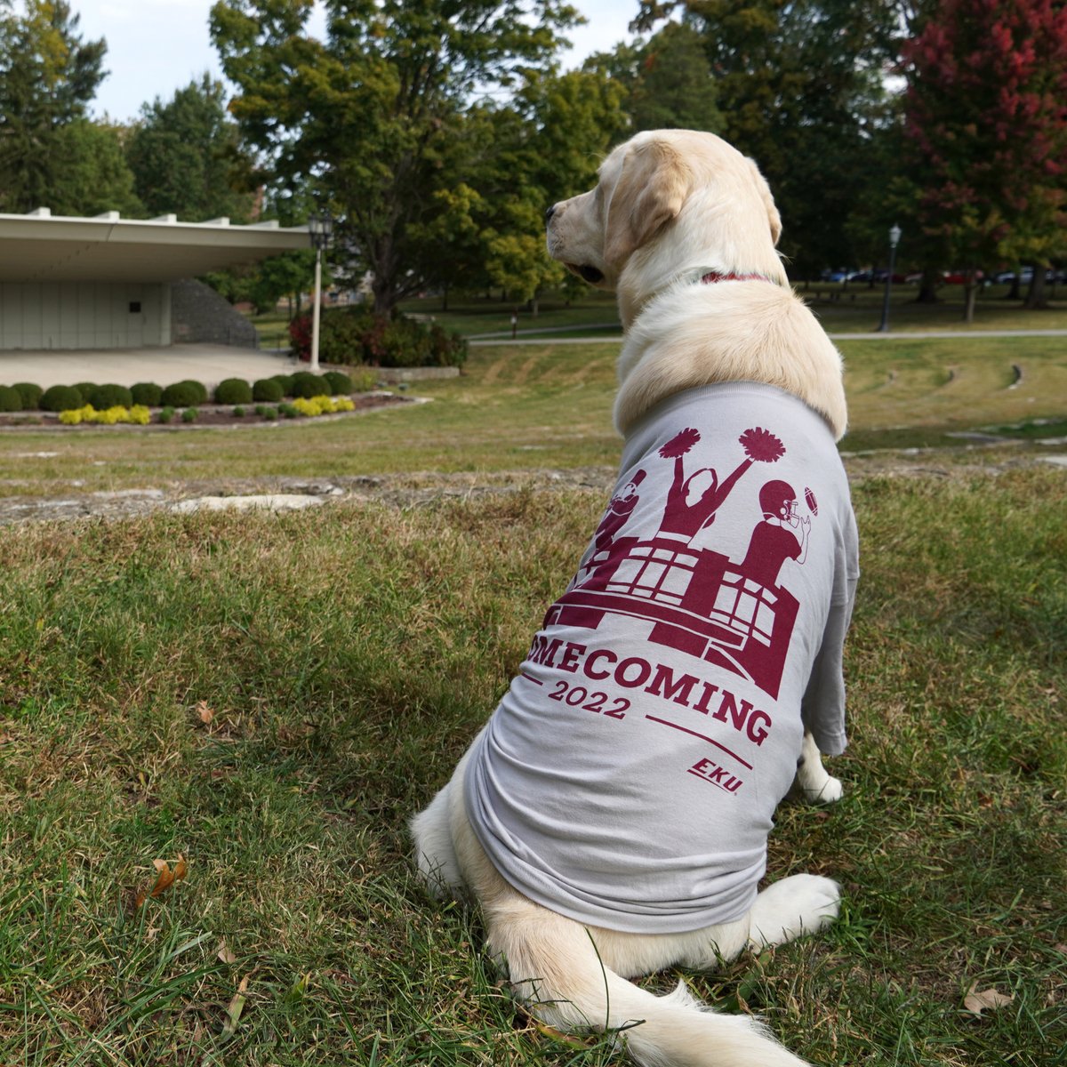 EKUalums's tweet photo. Flyer wants everyone to know that he's super excited for @EKU Homecoming 2022! He couldn't quite reach Daniel Boone's toe but he thinks he's lucky enough already. #homEKUming https://t.co/vVvLTw5x5e