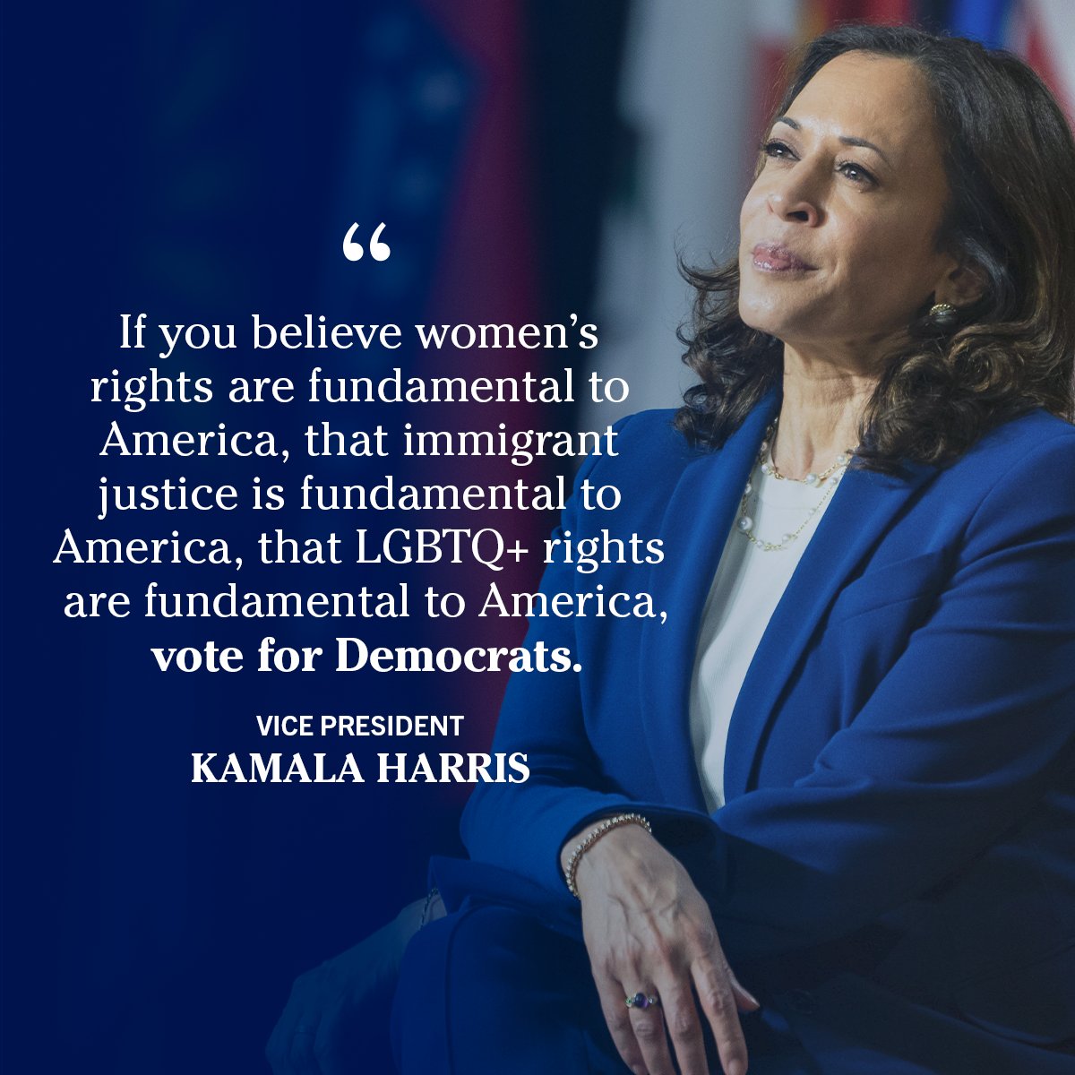 KamalaNation's tweet photo. Justice rights are on the ballot. 
Vote for #Democrats. https://t.co/0QZBK3xjwv