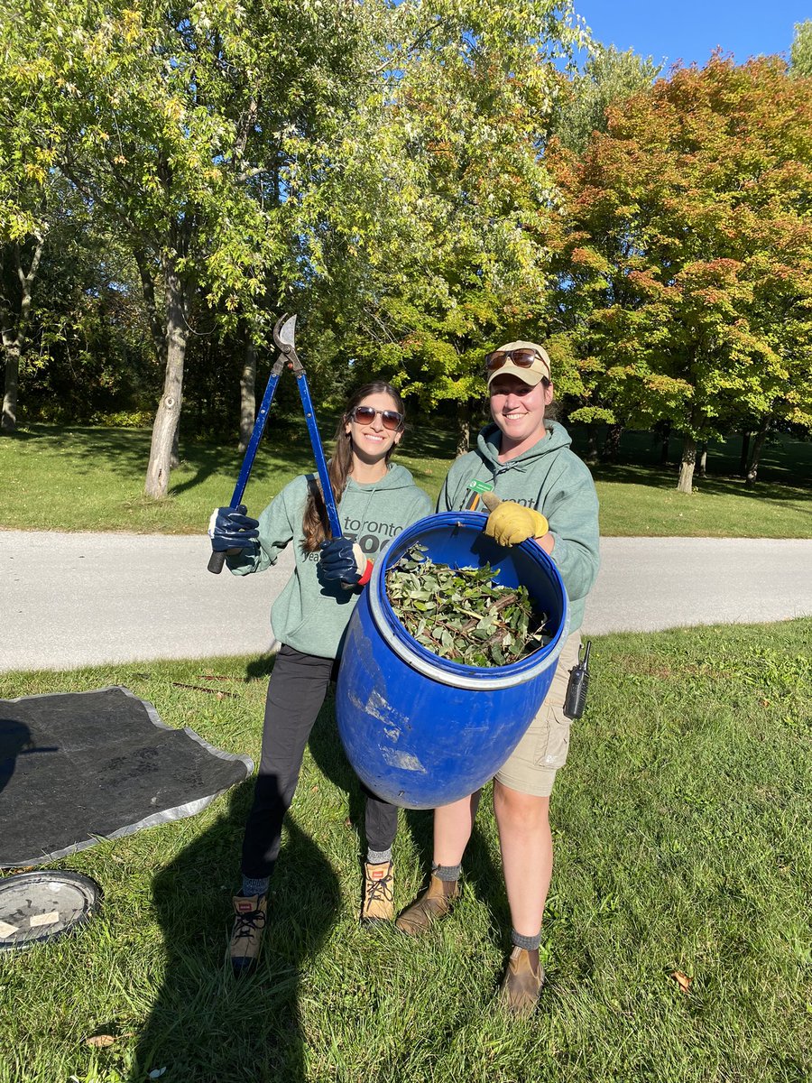 Morgan Dedato tweet media