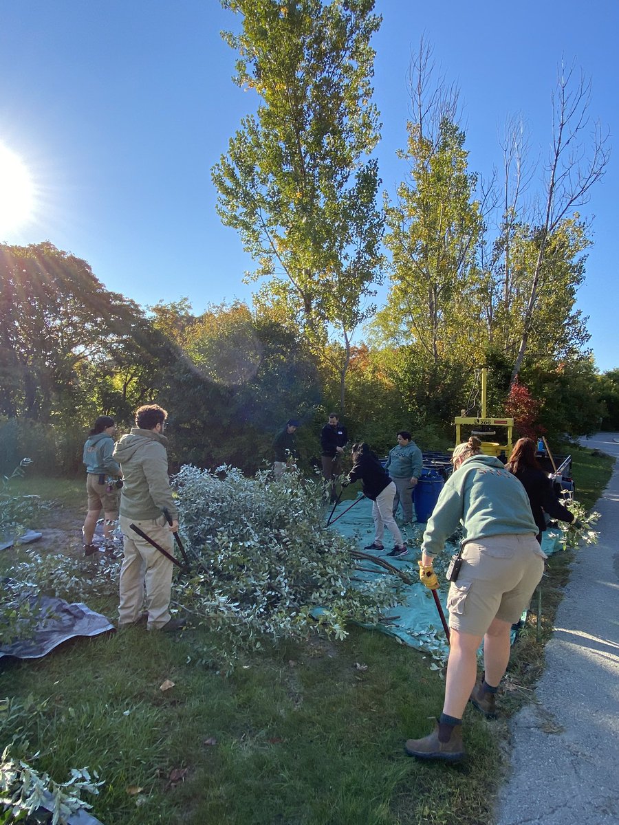 Morgan Dedato tweet media