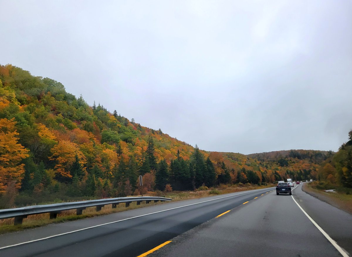 Robertron_wx's tweet photo. Lots of trees down from #Fiona between Truro and Antigonish. Fall colours in the Marshy Hope area and CB are popping though! #nswx https://t.co/A6MeL9lsuK