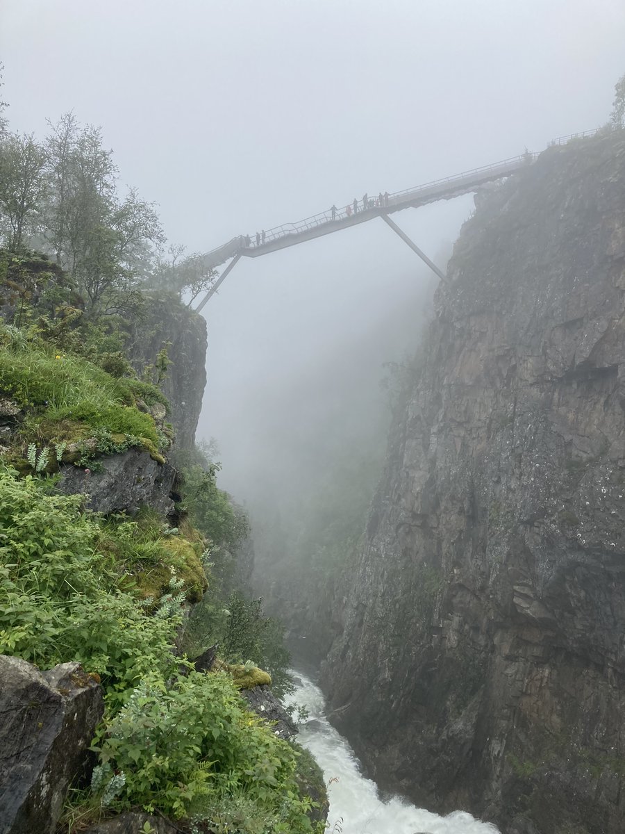 BamaEnglish tweet media