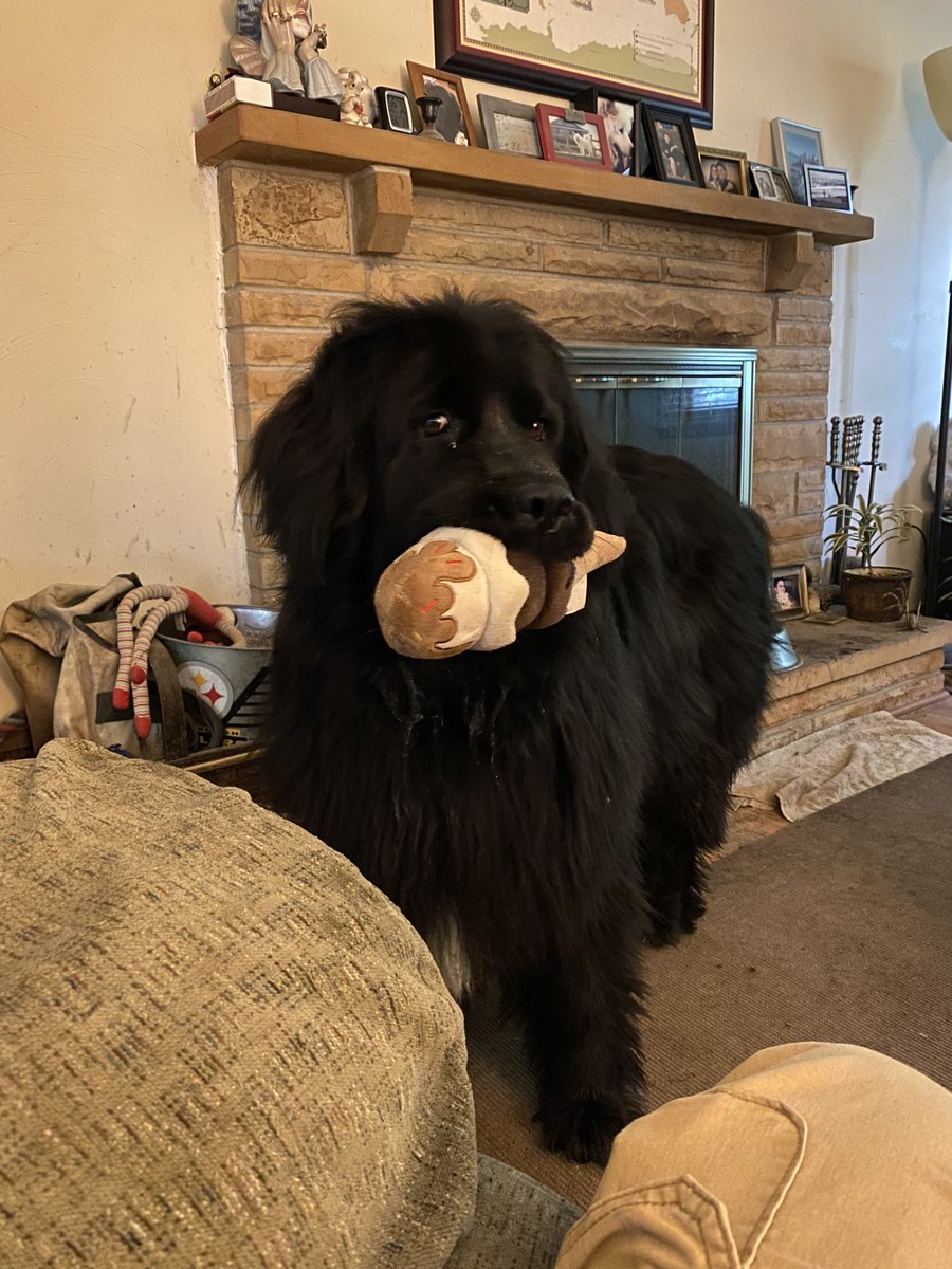 Matt Delle Donne tweet media