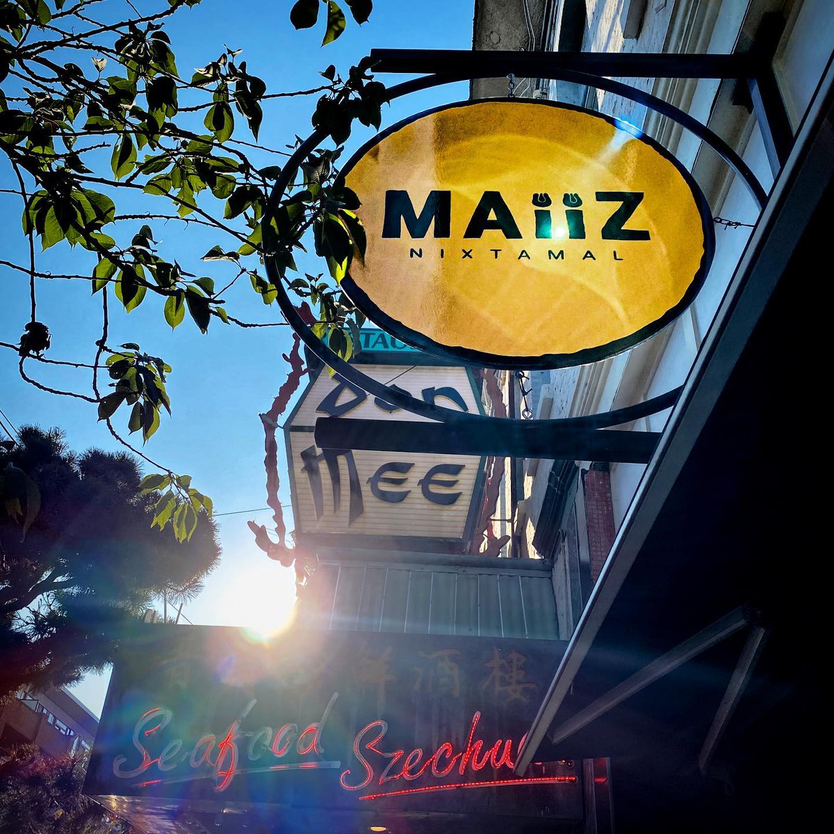 TheCeliacScene's tweet image. 🌮Give thanks with @maiiz_nixtamal #GlutenFree #Gourmet #MakeatHome #Meals! 🌮Peruse maiiz.ca/shopmaiiz Pick up at 540 Fisgard #Victoria Look for the sign!🌮 Eat-in or take-out FRI-SAT-SUN 11:30-6 Closed MON🌮We love bit.ly/MAiiZVictoria flexible #tortillas #celiacsafe