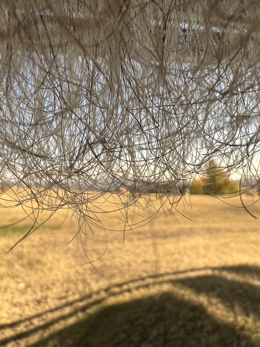 ReapersPlace's tweet photo. Happy Friday! Beauty day. #beardseyeview https://t.co/cOuTiJddmF