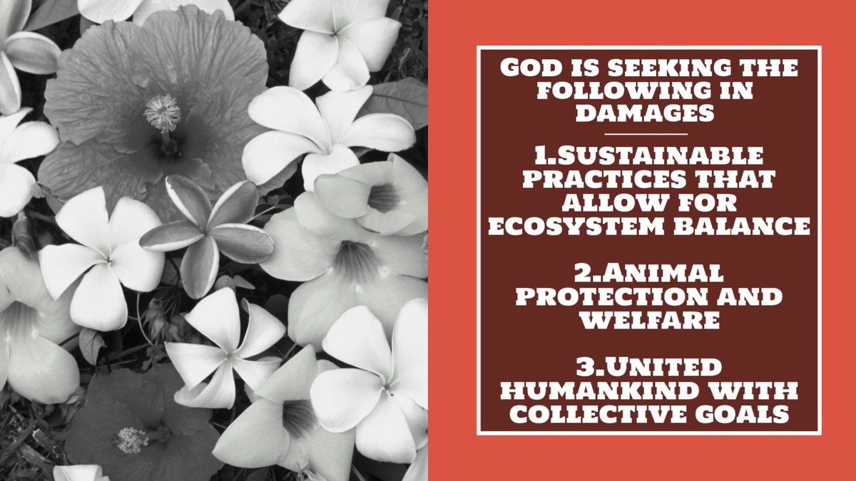 GoDivinesociety's tweet photo. God is seeking the following in damages -
Justice for God full movie:
https://t.co/bFMD8VYTVP
#God #Godism #Godists #Human #Humanism #Humanists #Atheism #Atheists #Religions #Philosophy #Science #nature https://t.co/DVKtRxI2sR