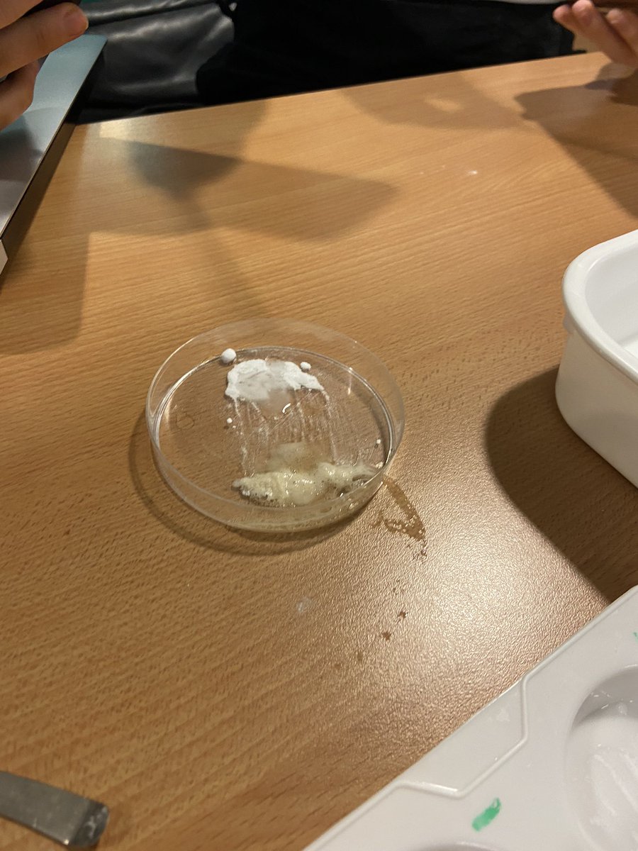 MissStockleyj's tweet photo. Today’s science lesson! Demonstrating the use of a hook to gain the interest of the classroom whilst furthering their substantive and disciplinary knowledge 🪝🥼 https://t.co/RhS1YzESCb