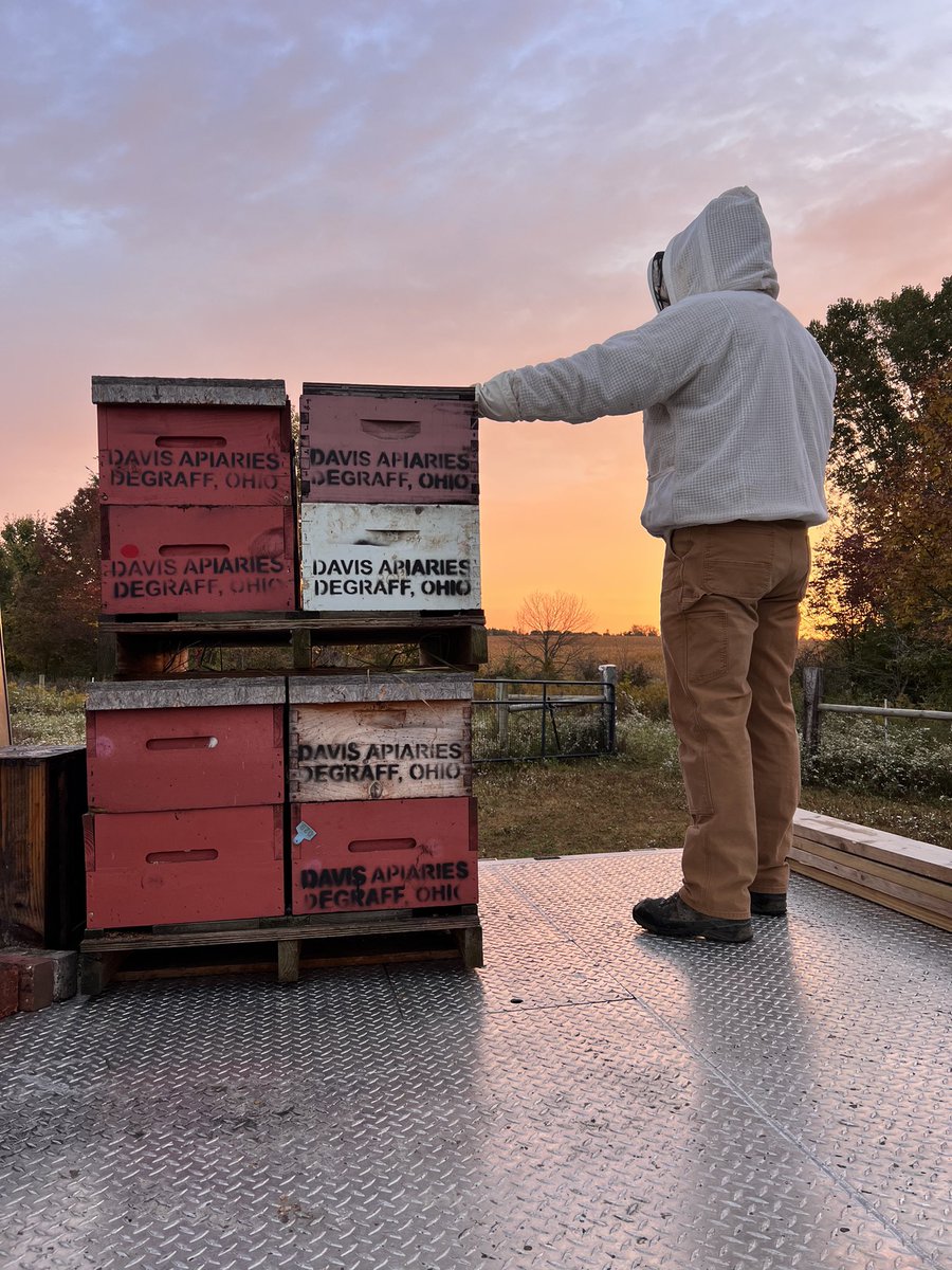 _N_Davis's tweet image. Trying to get ready for Cali