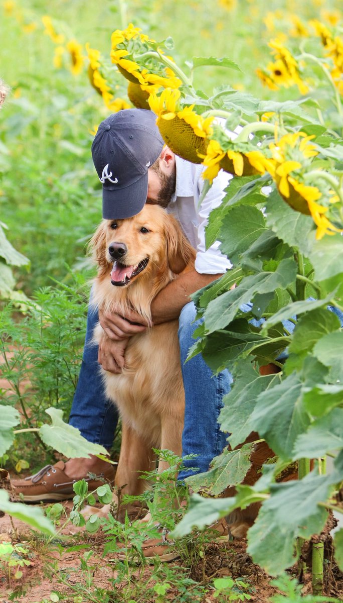 aguyandagolden's tweet photo. Pay attention to your dog, they will teach you a lot about life. Forgive and forget, you’re never too old to play, be brave no matter your size, greet your loved ones every time like it’s your last, be silly, loyal, faithful, and follow your instincts…they’re usually right. https://t.co/4QIbHIEhHz