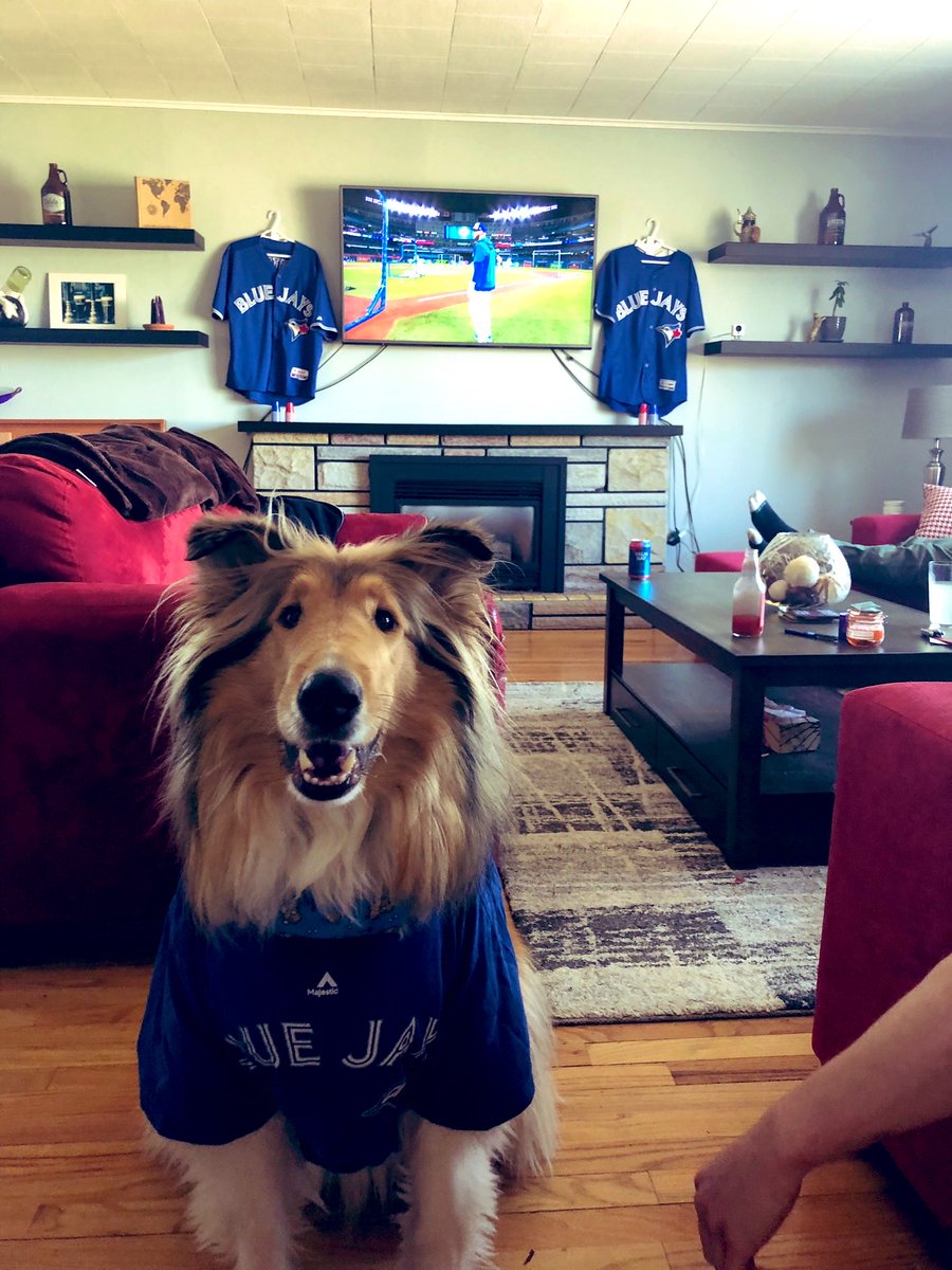 Matthew Elford tweet media