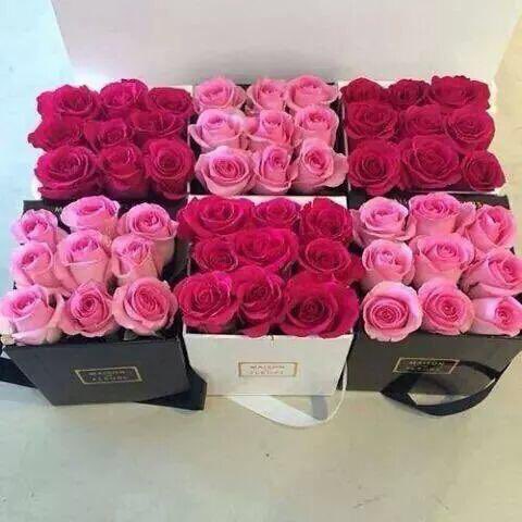 Dr_E_al7azmi's tweet photo. @dEdtZSN064me64E @almohannam جزاكم الله خيرا جميعا فردا فردا يامن نظرتم وعبرتم وسطرتم ونشرتم ونقلتم وتابعتم وأفدتم. وتقبل الله منا ومنكم صالح الأعمال. https://t.co/x1rrj8qmDr