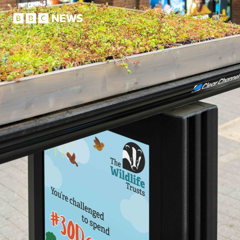 BBCNews's tweet photo. More 'bee bus stops' are set to pop up around the UK this year